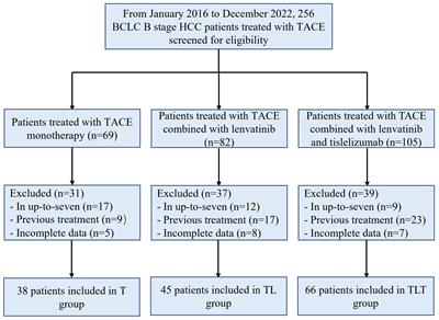 TACE plus lenvatinib and tislelizumab for intermediate-stage hepatocellular carcinoma beyond up-to-11 criteria: a multicenter cohort study